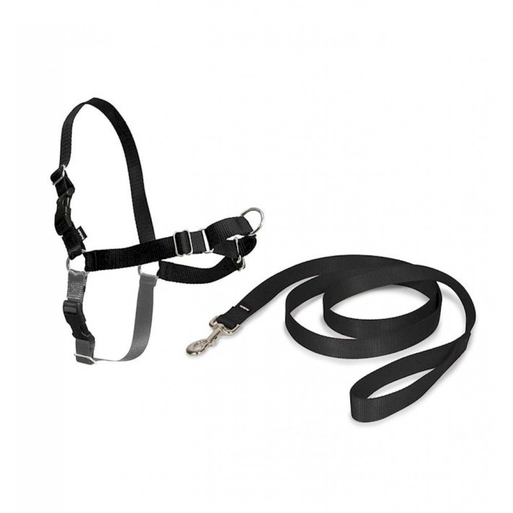 Easy Walk Harness Extra Small Black Small Dog Harness